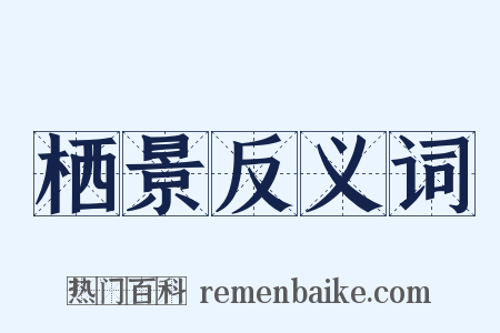 栖景反义词是什么意思的图片
